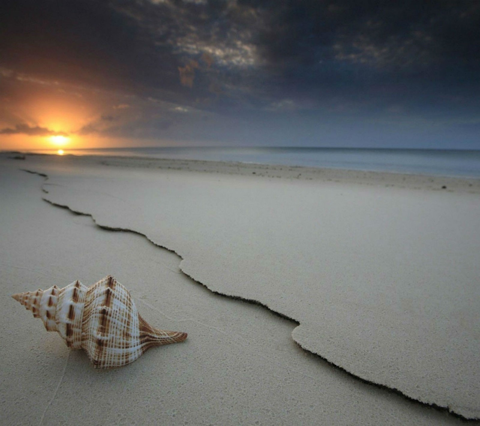 Concha arafed en la playa con una puesta de sol de fondo (2013, hd, oceanwave, arenas, escenario)