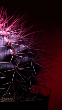 Abstract Cactus Against a Vivid Red Background