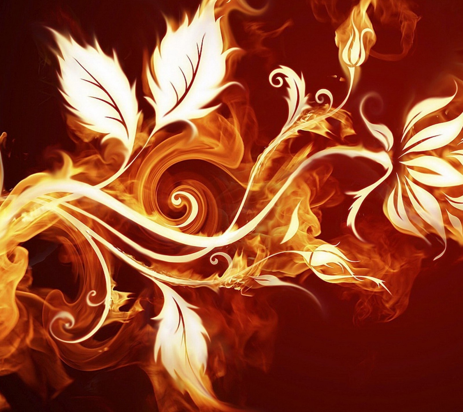 Flames and leaves on a black background with a red background (abstract, flames, flowers)