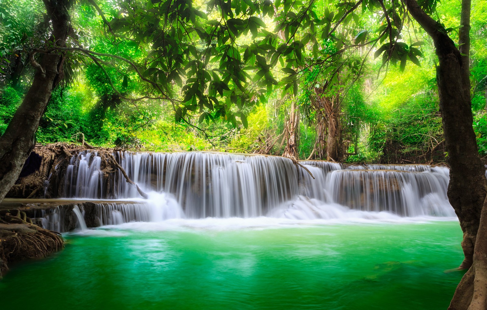 A waterfall in the jungle with green water and trees (waterfall, body of water, nature, water resources, water)