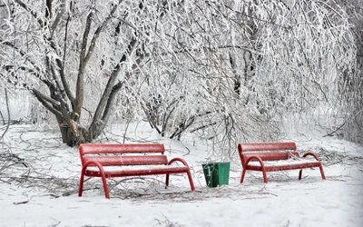 зима, снег, замораживание, скамейка, дерево