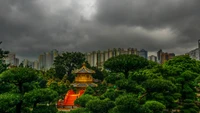 Serene Urban Oasis: Goldener Pavillon zwischen üppigem Grün und Stadtansicht in Hongkong