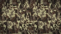 camouflage militaire, motif, camouflage, marron, design