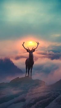 Cerf majestueux silhouetté contre un paysage nuageux coloré au coucher du soleil