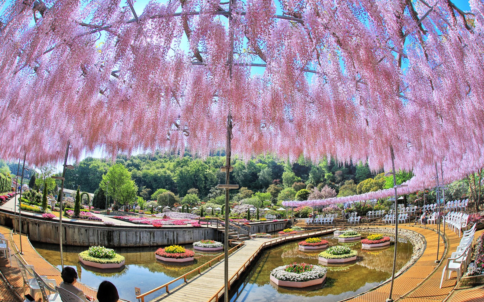 Vista de un parque con un estanque y un puente (tokio, tokyo, primavera, árbol, planta)