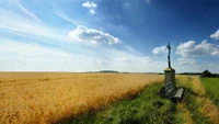 Campo de trigo dorado bajo un cielo azul con nubes y una cruz