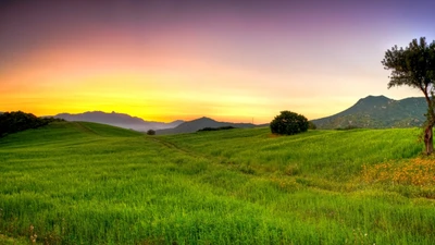 Morning Serenity: Rolling Meadows Under a Vibrant Sky