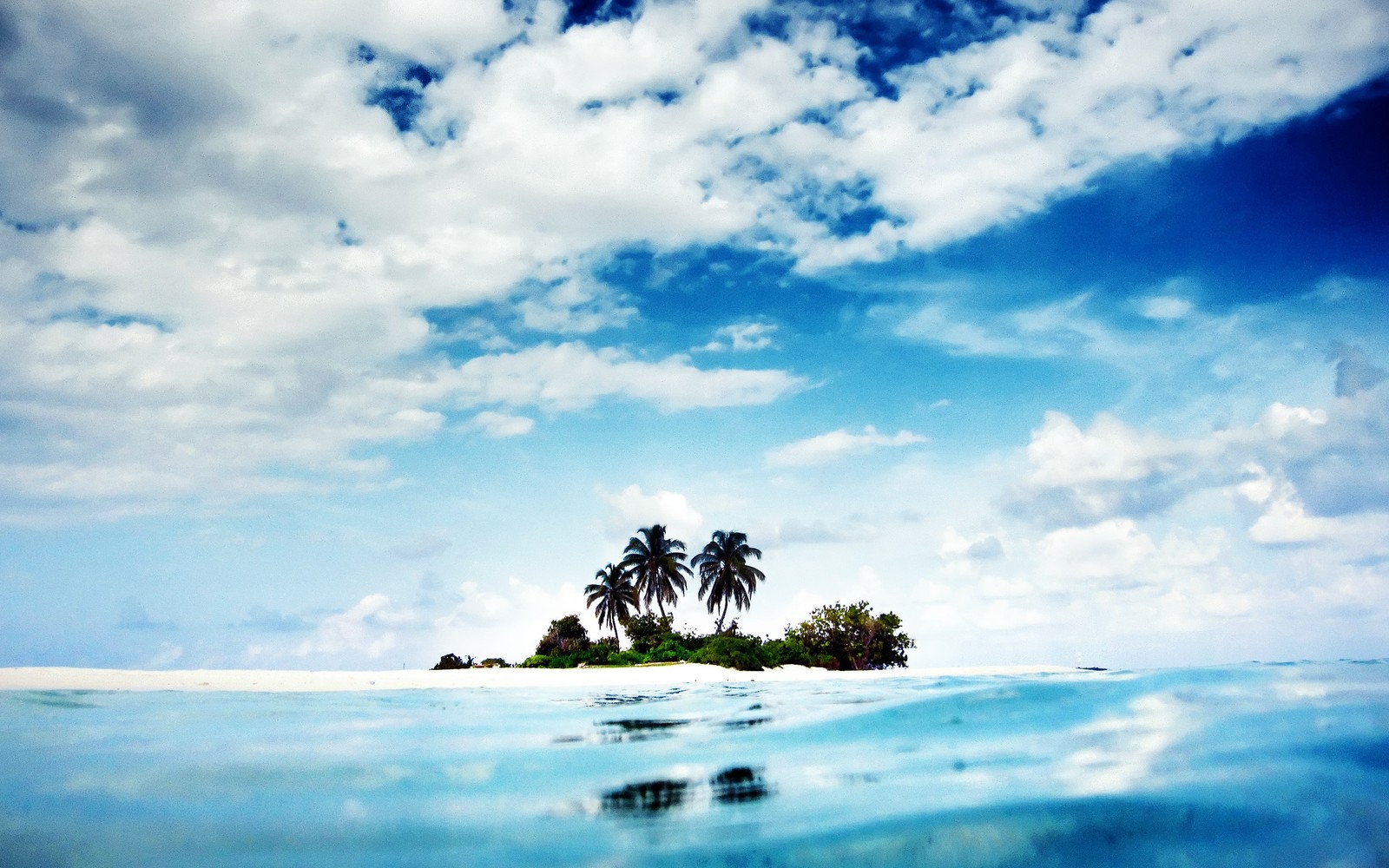 Une petite île avec un palmier au milieu de l'océan (mer, eau, océan, journée, jour)