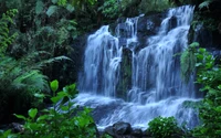 Cascada serena en una exuberante selva tropical