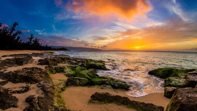 Coucher de soleil vibrant sur une plage rocheuse avec une végétation luxuriante