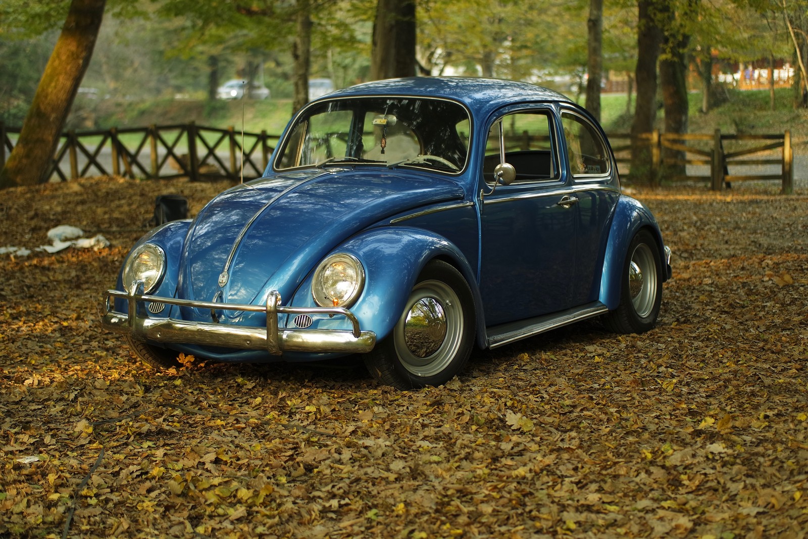 Um carro azul panorâmico estacionado em um parque coberto de folhas (volkswagen beetle, carro, volkswagen, carro clássico, carro vintage)