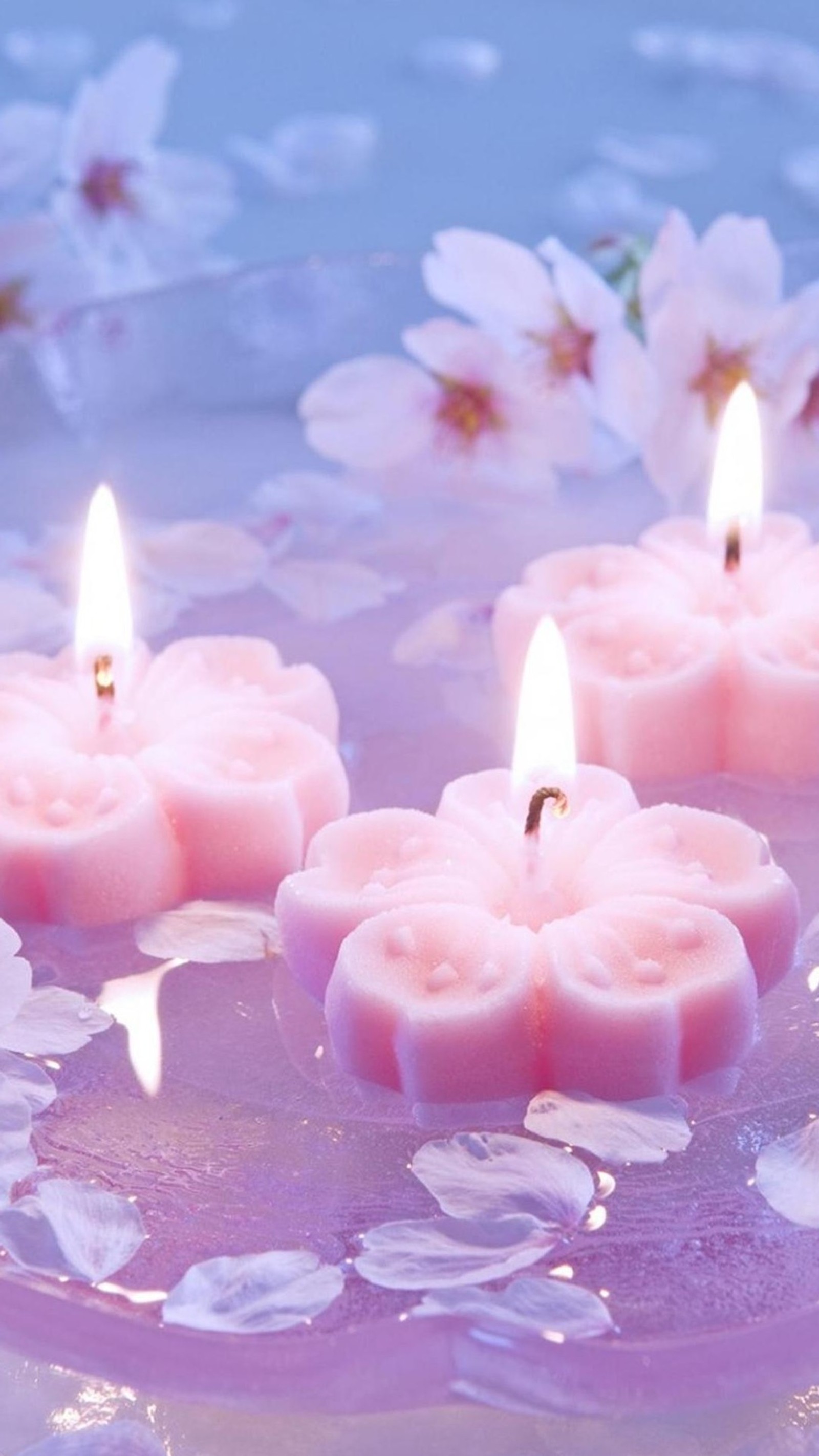 Velas flotando en un tazón de agua con flores en la superficie (vela, rosa, iluminación, pétalo, flor)