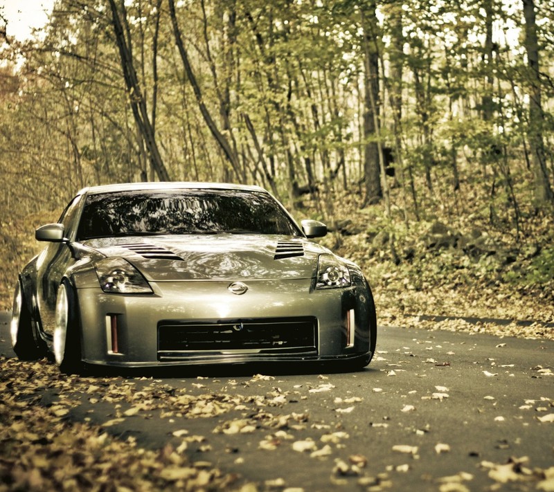 Arafed car parked on a road in the woods with leaves on the ground (car, nissan)