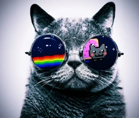 Cool Cat in Pixelated Sunglasses