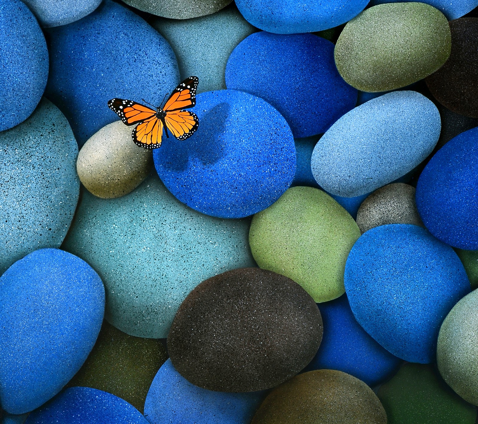 There is a butterfly that is sitting on some rocks (butterfly, stones)