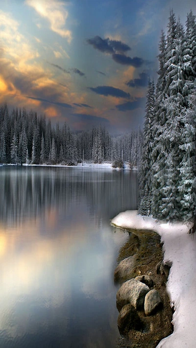 Tranquil Winter Reflections in a Snow-Covered Landscape