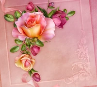 nature, pink, rose