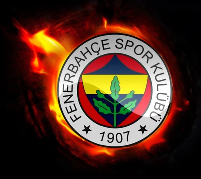 fenerbahçe, fenerbahce, futebol, istambul, esporte