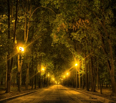 Caminho iluminado do parque à noite