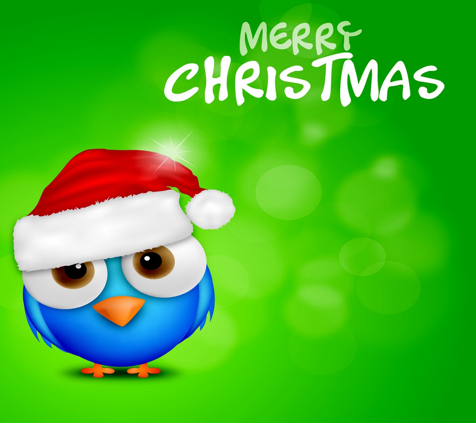 bird, christmas, merry christmas, xmas wallpaper