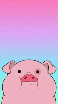 animal, pig