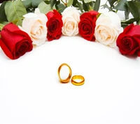 Goldene Ringe umgeben von roten und weißen Rosen: Ein Symbol der Liebe