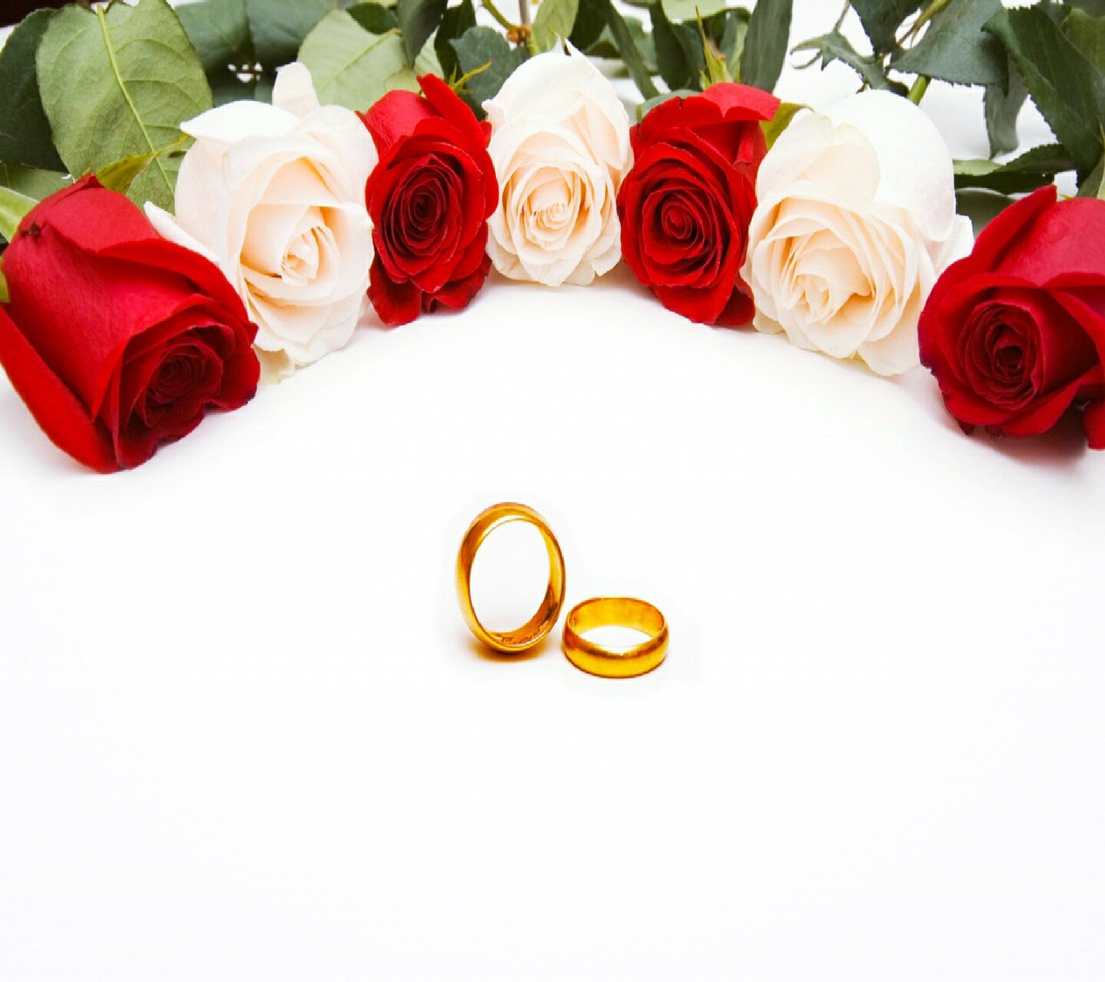 Dos anillos de boda y dos rosas sobre una mesa blanca (fondos de pantalla hd, corazón, amor, nuevo)