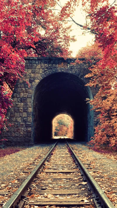 automne, chemin de fer, tunnel