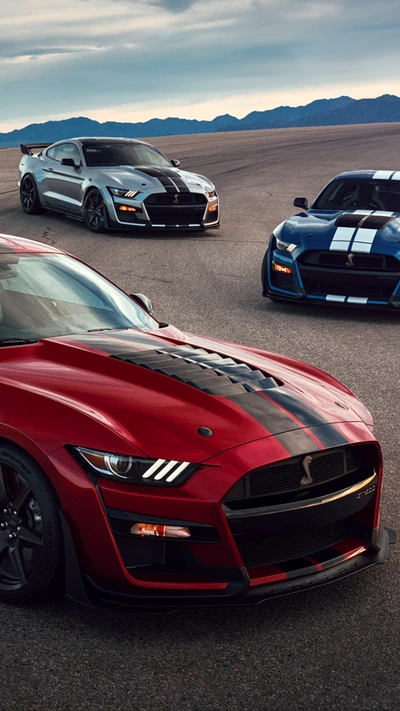 Tríada de poder: Shelby GT500 Mustangs en audaz diseño de carbono