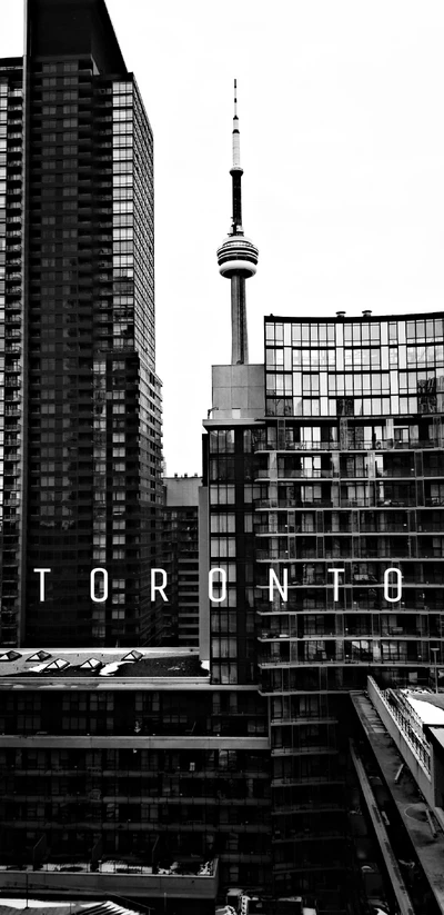 Horizonte de Toronto com a Torre CN em monocromático