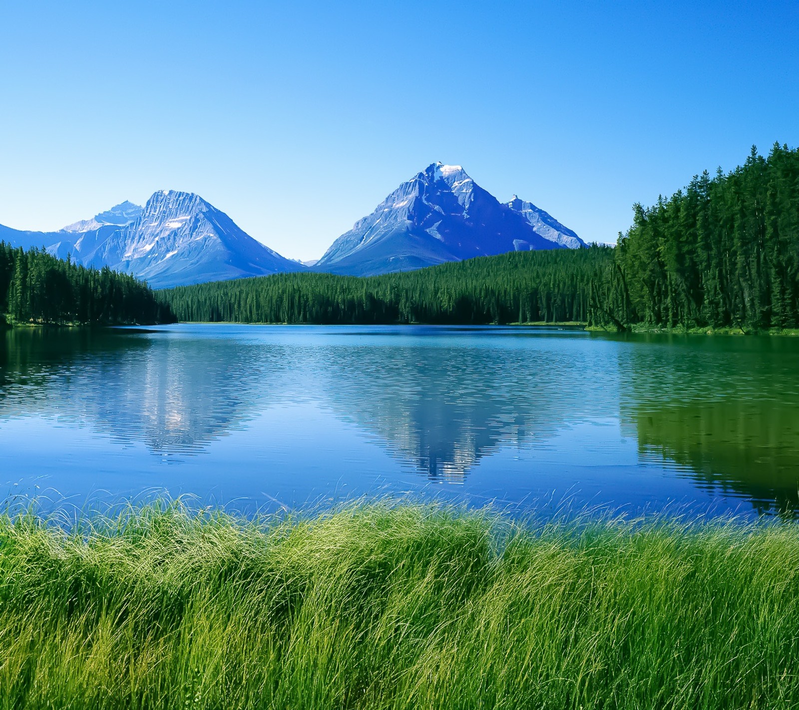 Il y a un lac avec une montagne en arrière-plan (herbes, lacs, paysage, montagnes, nature)