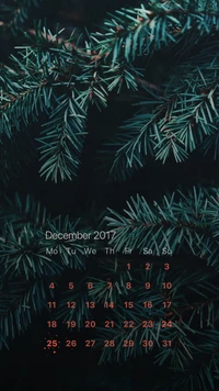 calendario, navidad, diciembre