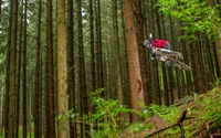 Ciclista de montanha no ar em um caminho florestal exuberante