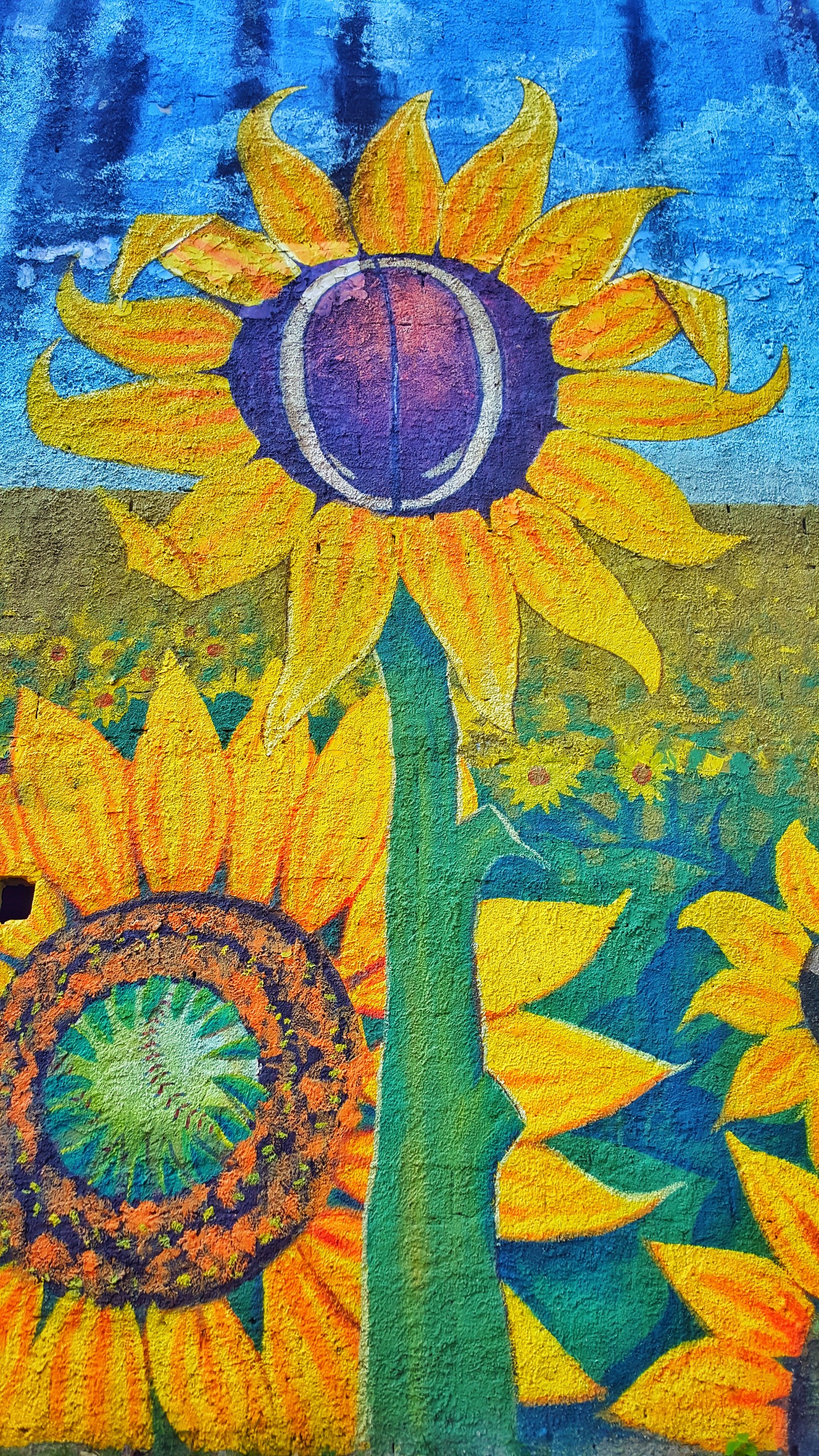 Lade sonnenblume, murales, narure, natur, grün Hintergrund herunter