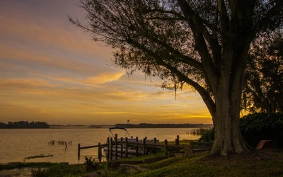 Tranquil Sunset at Lake Agnes: A Serene Shoreline with Majestic Trees and Reflective Waters