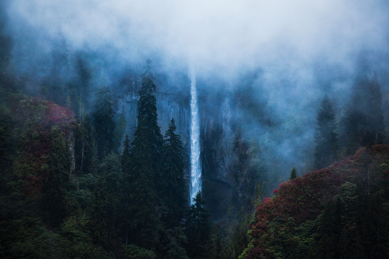 Uma vista de uma cachoeira no meio da floresta (natureza, mar negro, névoa, floresta, bioma)