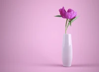 Elegante flor rosa en un jarrón minimalista contra un fondo rosa pastel