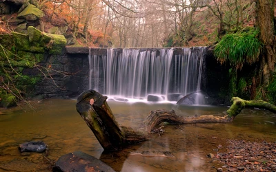 Herbstliche Gelassenheit: Ein Ruhiger Wasserfall in der Umarmung der Natur