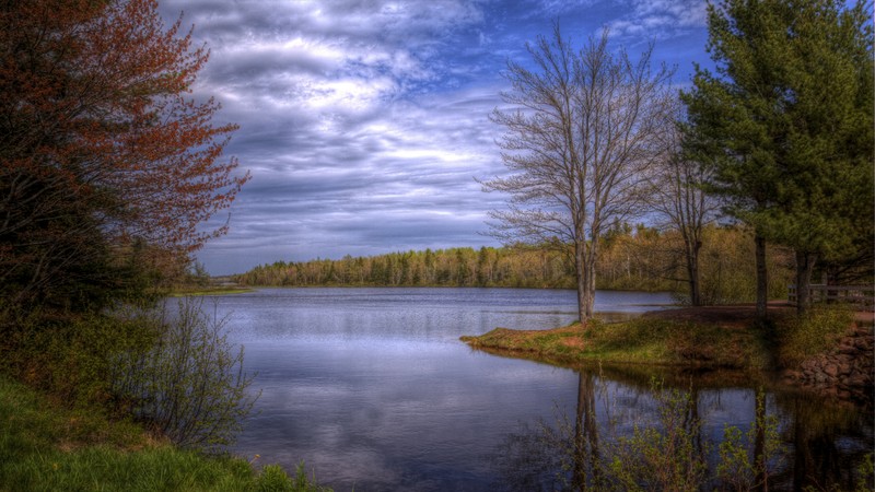 Вид на озеро с деревьями и небом на заднем плане (природа, отражение, вода, озеро, пейзаж)