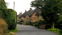 Charming thatched cottages lining a peaceful village street, surrounded by lush greenery.