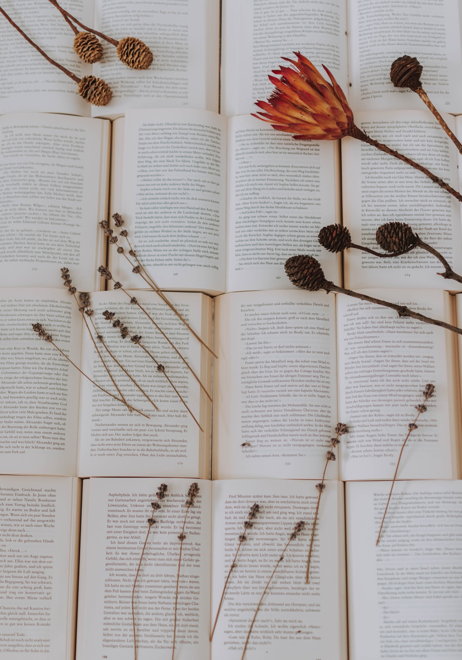 Hay muchos libros con flores secas sobre ellos en una mesa (ramita, botánica, familia de hierbas, ramo, planta)