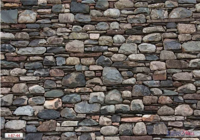 Textured Stone Wall with Varied Colors and Shapes