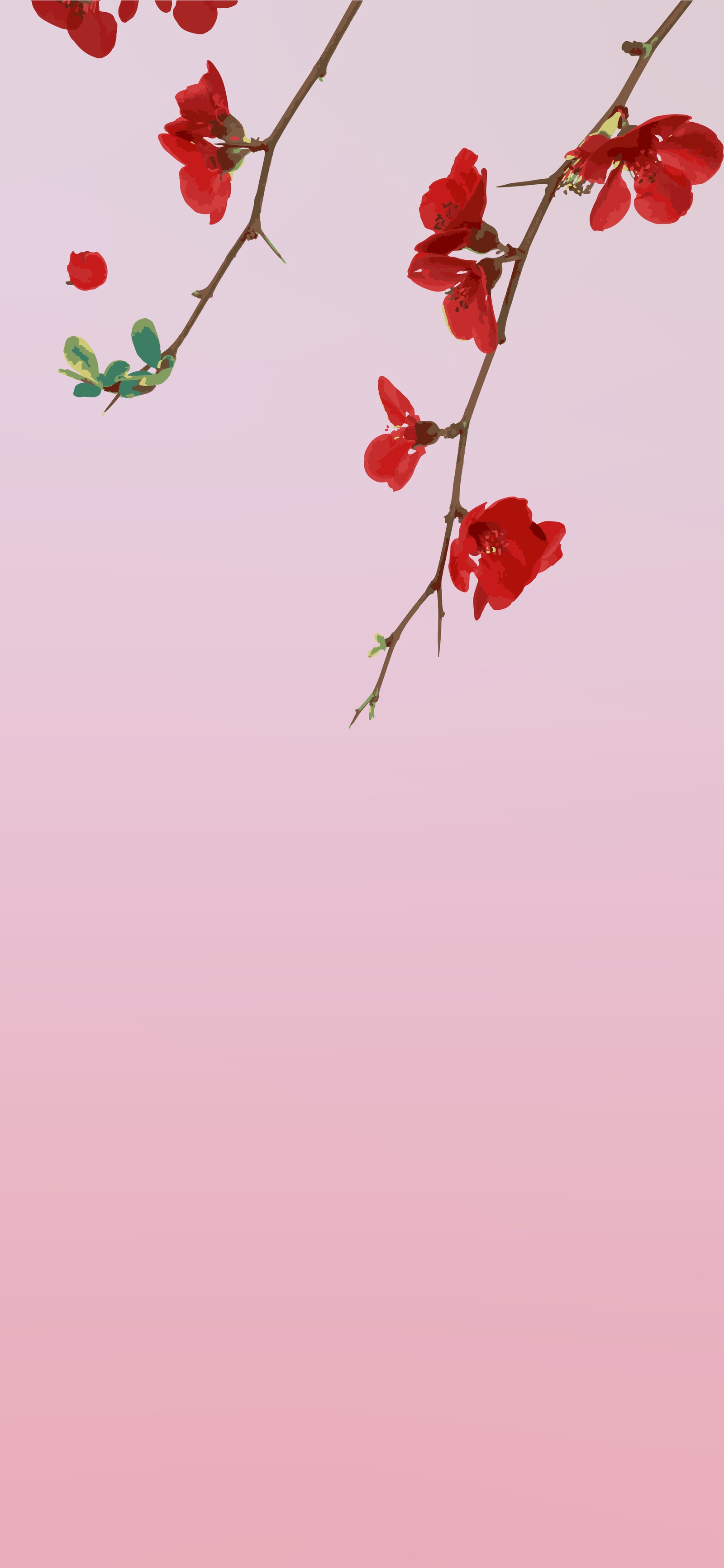 flower, red, rose, petal, branch wallpaper