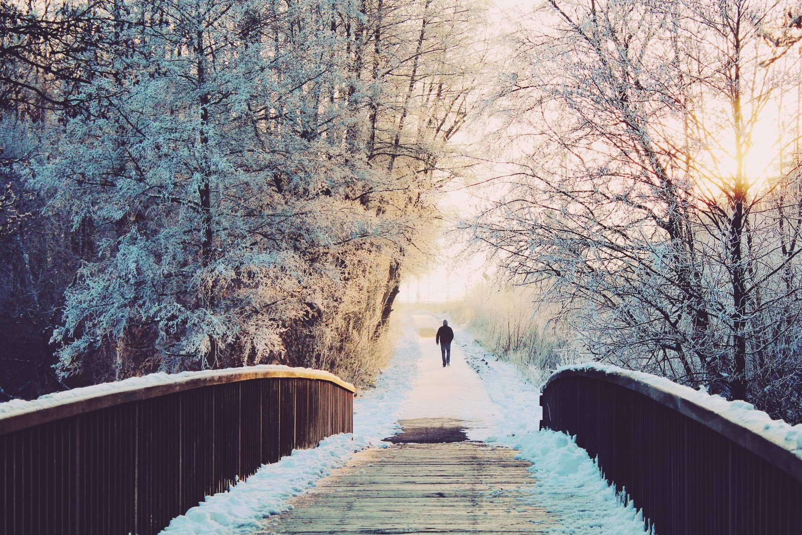 Snowy path with a person walking on it (winter, weather, snow, cold, world)