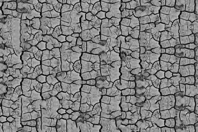 Cracked stone wall pattern highlighting drought effects in monochrome.