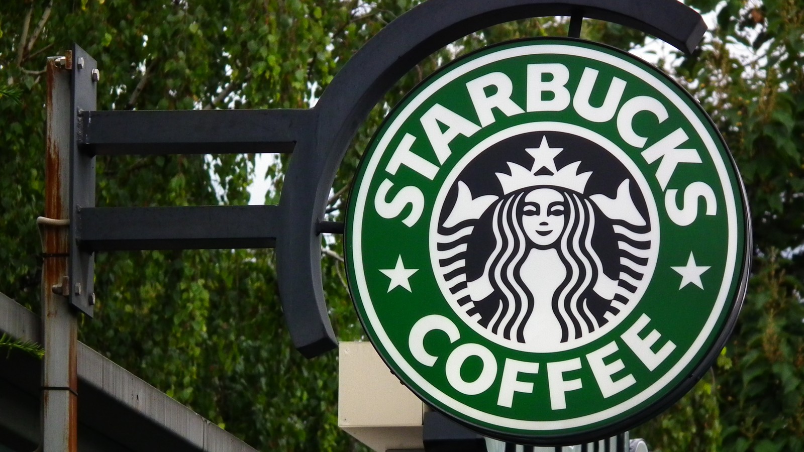 Letrero de starbucks en un poste con un árbol de fondo (starbucks, señalización, señal de tráfico, árbol, recreación)