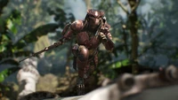 Berserker Prédateur à la chasse dans des terrains de jungle dense