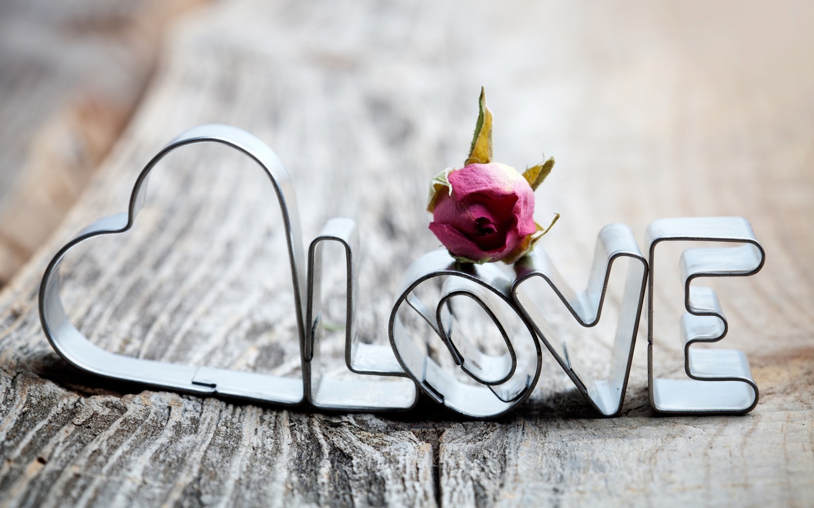 Une rose posée sur une table en bois (rose, amour, saint valentin, romance, jour de la proposition)