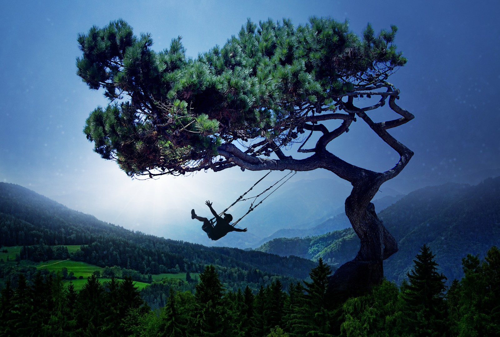 Une personne sur une balançoire suspendue à un arbre dans les montagnes (balançoire, surréaliste, arbre, paysage, brumeux)