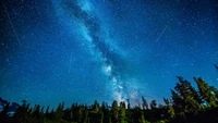 Via Láctea majestosa iluminando um céu noturno sereno acima da silhueta de árvores perenes